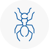 Ant Removals In Weybridge