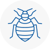 Bed Bug Extermination In Weybridge