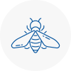 Bee Nest Removal Weybridge