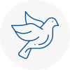 Bird Prevention Weybridge
