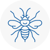 Weybridge Hornet Nest Removals