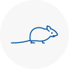 Mice Exterminators In Weybridge