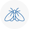 Moth Control Specialists In Weybridge