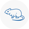 Rat Control Weybridge