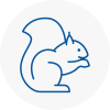 Weybridge Rodent Removals